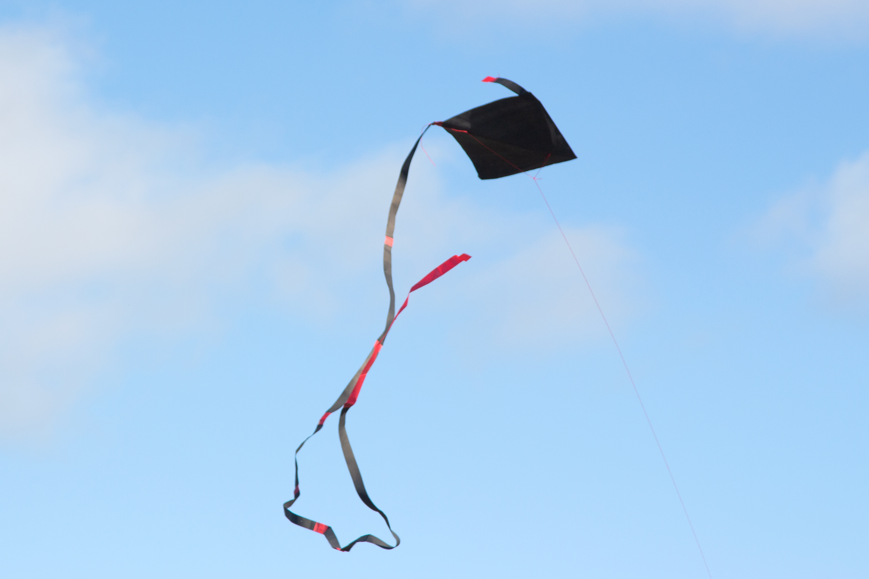 Jeena Shin & Julia Morrison