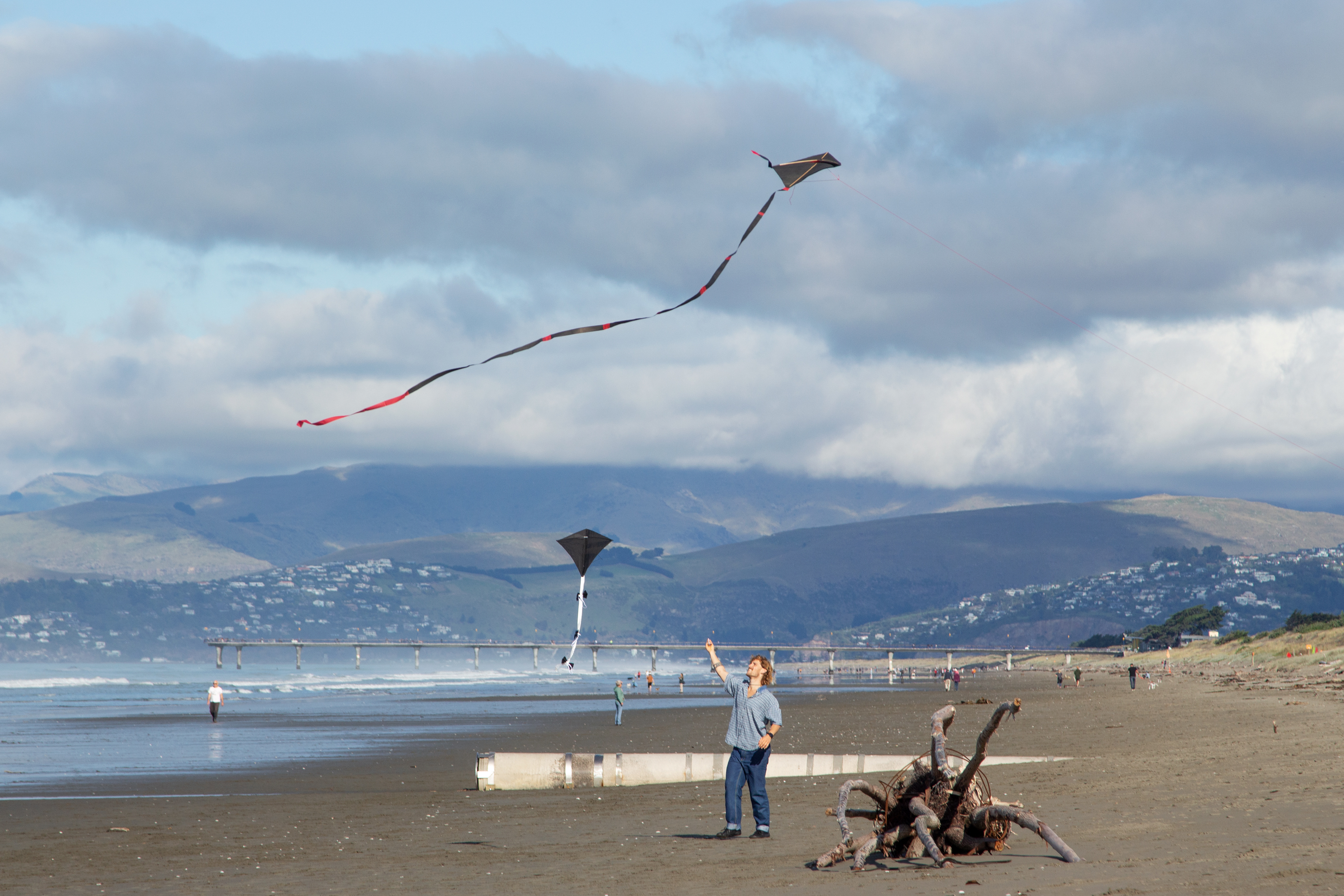 Jeena Shin & Julia Morrison, Nick Austin